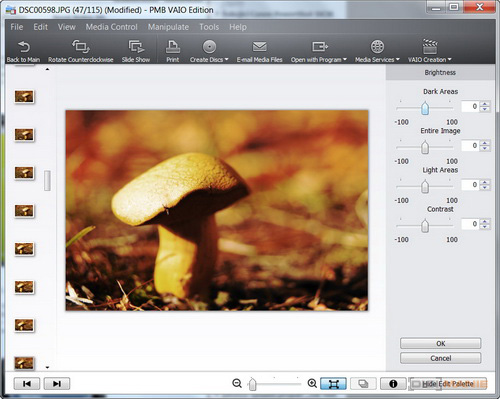 Sony SLT-A33: přesvědčivý revolucionář