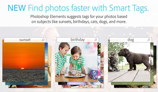 Adobe Photoshop Elements 15 k dostání i na Windows Store