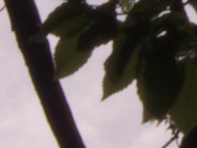 Fujifilm FinePix HS10: ultrazoom roku?