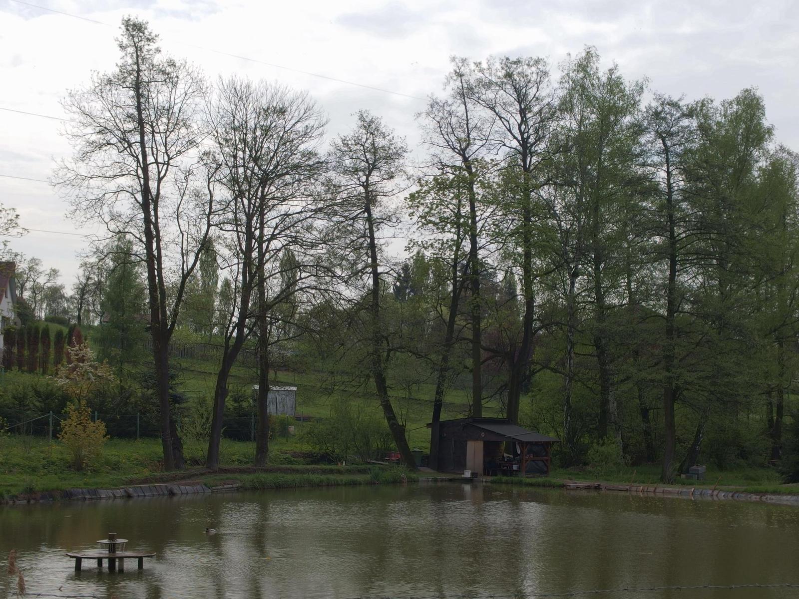 Olympus Stylus XZ-2: jednoduše skvělý