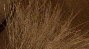 Nikon D7200: přesvědčivé zrcadlo