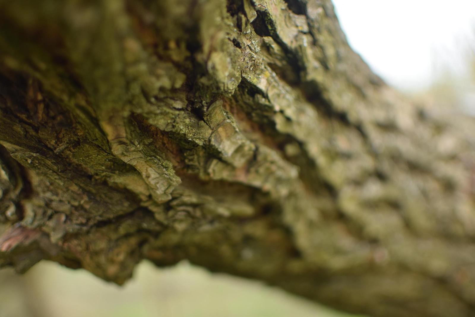 Nikon AF-S DX NIKKOR 35mm f/1.8G