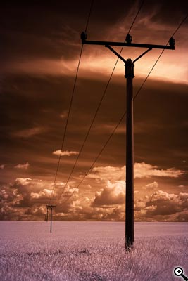 Cesta ke kvalitní fotografii: 1.díl