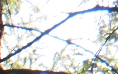 Olympus M.Zuiko Digital 14-150 mm F4-5,6