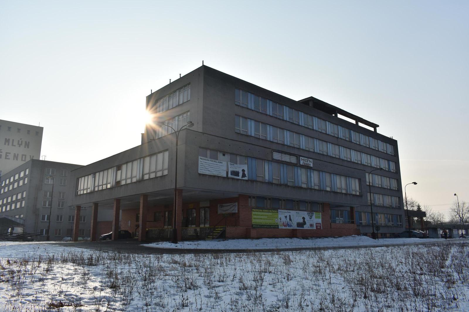 Nikon AF-P NIKKOR 18-55mm f/3.5-5.6G VR