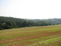 Canon PowerShot S2 IS: dvanáctinásobné oko Canonovo