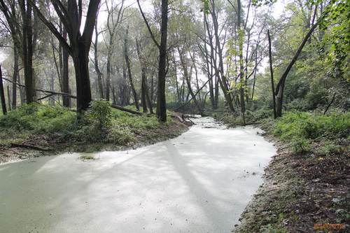 Canon EOS 550D: třídní premiant