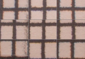 Olympus M.Zuiko Digital ED 12-50mm 1:3,5-6,3 EZ