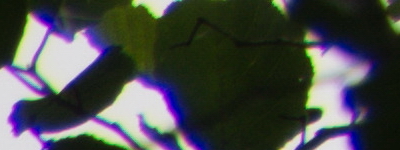 Tamron 16-300mm f/3.5-6.3 Di II VC PZD Macro