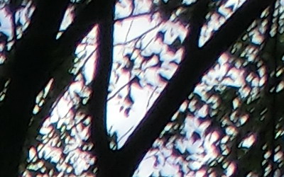 Casio EXILIM ZR100: kapesní formule