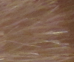 Canon PowerShot SX30 IS: sebevědomý rekordman