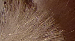 Panasonic Lumix TZ70: krůček k profi ultrazoomu