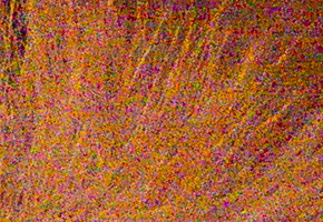 Panasonic Lumix LX7: kompaktní hvězda noci