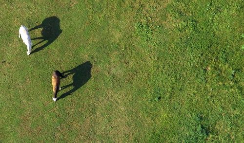 Canon vysílá vítěze soutěže Mise do světa