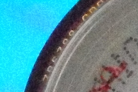 Samsung WB650: povedený cestovatel