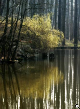 Úpravy fotografií v PC, 6.díl - jas