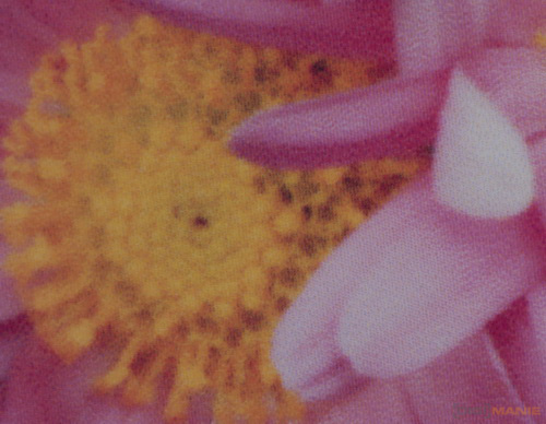 Epson Stylus Photo PX720WD: multifunkční krasavec