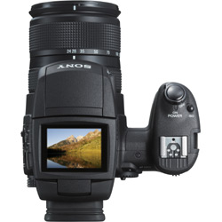 Sony Cyber-shot DSC-R1: Třída sama o sobě