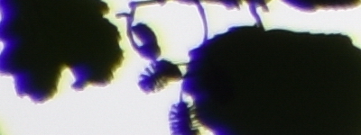 Tamron 16-300mm f/3.5-6.3 Di II VC PZD Macro