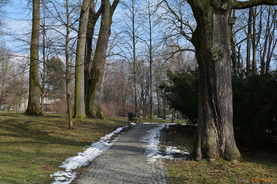 Nikon D5200: základ na steroidech