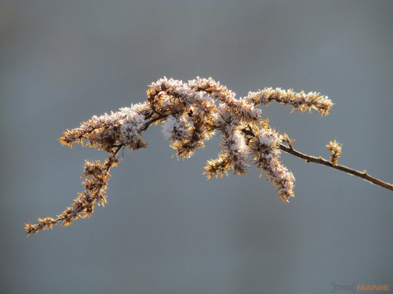 Canon PowerShot SX500 IS: fotící stroj času