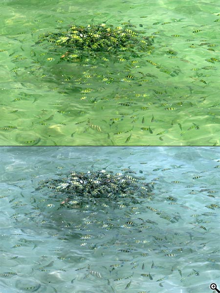 Úpravy fotografií v PC, 8.díl - barvy podruhé