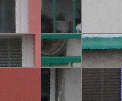 Samsung WB650: povedený cestovatel