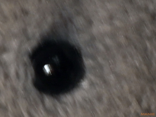 Fotíme s Koalou: Stabilizace