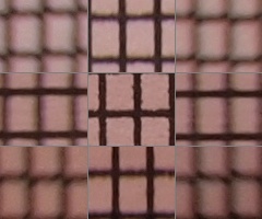 Olympus M.Zuiko Digital 40-150 mm F4-5,6 + nová R verze