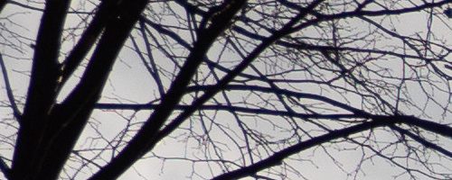 Panasonic Leica DG Vario-Summilux 10-25mm F1.7 ASPH.