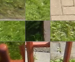 Nikon Coolpix S9100: rudý bojovník