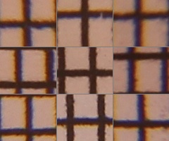 Canon EOS 550D: třídní premiant