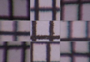 Tamron 16-300mm f/3.5-6.3 Di II VC PZD Macro