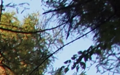 Olympus M.Zuiko Digital 14-150 mm F4-5,6