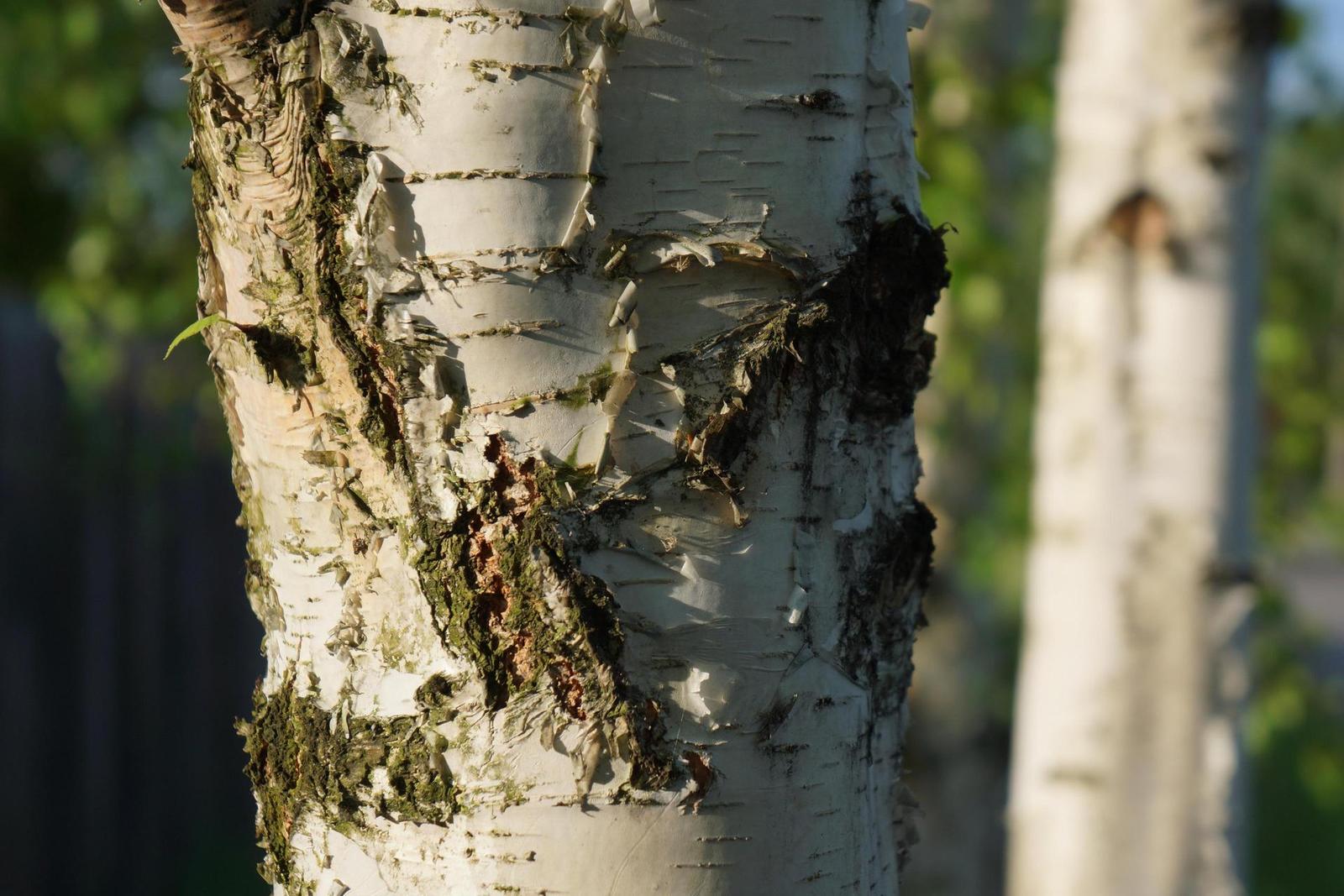 Sony NEX-7: správná (r)evoluce