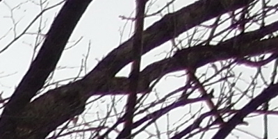 Samsung EX2F: významný krok vpřed