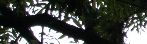 Canon EF-M 15-45mm f/3.5-6.3 IS STM