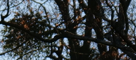 Panasonic Lumix S 20-60mm F3.5-5.6