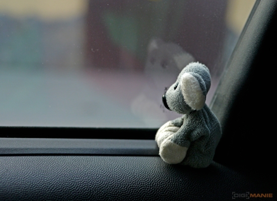 Fotíme s Koalou: Panorama, skládání snímků