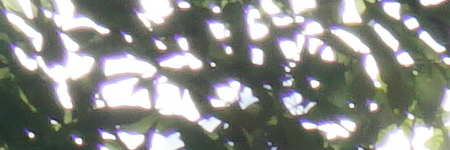 Sony Carl Zeiss Vario-Tessar T* 16-70mm F4 OSS (SEL1670Z)