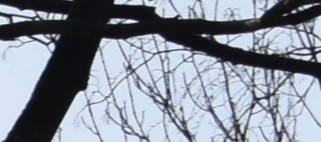 Nikon AF-S DX NIKKOR 35mm f/1.8G