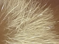 Sony Cyber-shot WX7: překoná skvělou WX5?