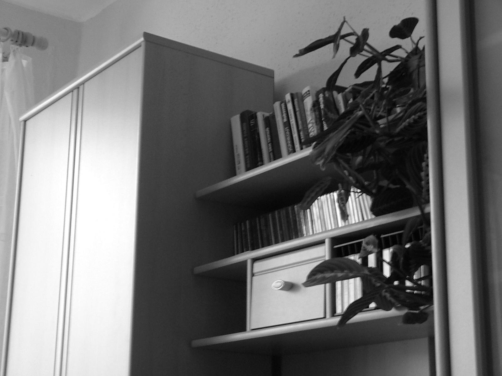 S5000: přitažlivá třímegová EVFka