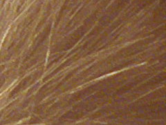 Fujifilm FinePix HS20EXR: důstojný nástupce