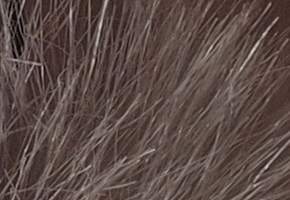 Olympus PEN E-P3: král všech PENů