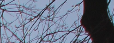 Megatest ultrazoomových objektivů