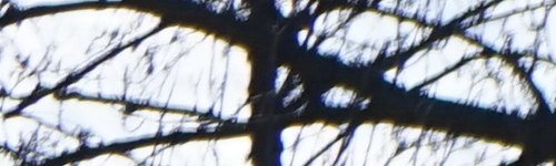 Sony FE 28-70mm F3.5-5.6 OSS (SEL2870)