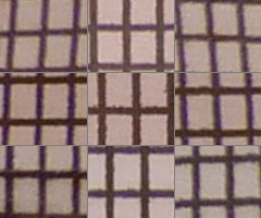 Panasonic Lumix TZ10: kapesní dělo