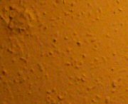 DiMAGE Z5: stabilních pět milionů