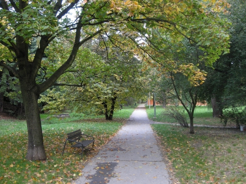 Nikon Coolpix S500: malý, ale výkonný